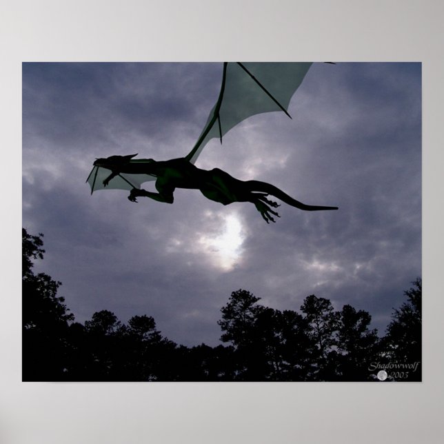 Pôster Voo Dragão (Frente)