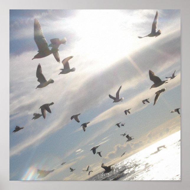 Poster Voo Livre (Frente)