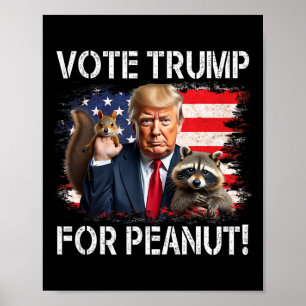 Poster Votar Trump No Peanut O Esquilo 2