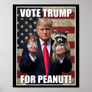 Poster Vote Trump Justiça Para Fred Peanut O Esquilo Mer