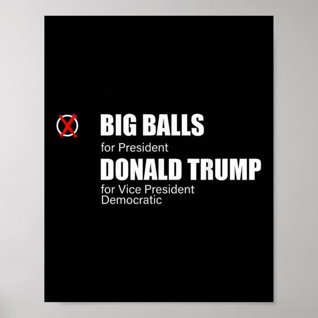 Poster Votei A Favor Do Big Doge D.o.g., E... (Frente)