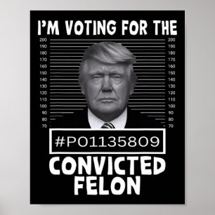 Poster Voto A Favor Do Condenado Felon Trump Mugshot Pro 