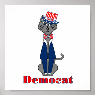 Poster Voto Democat