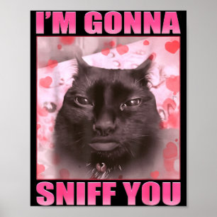 Poster Vou Cheirar Você Meme de Gatos Engraçados Mulheres