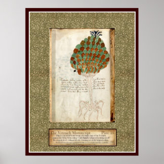 Poster Voynich Plate 22