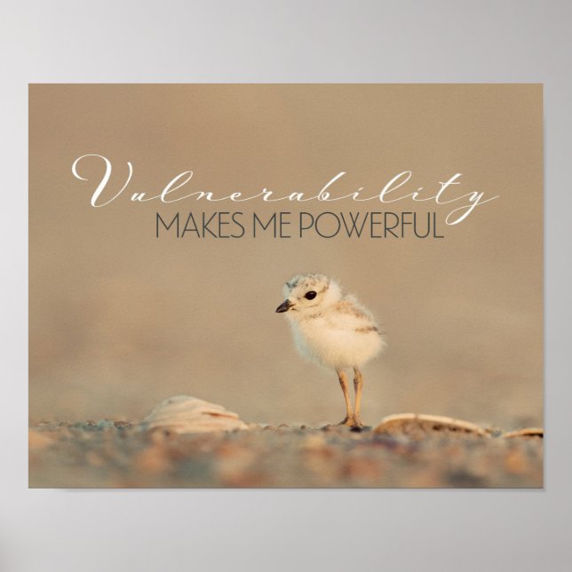 Pôster Vulnerabilidade (Frente)