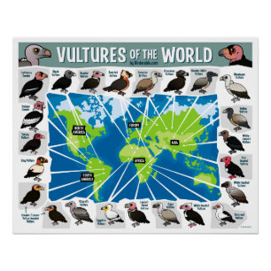 Pôster Vultos do Mapa Mundial