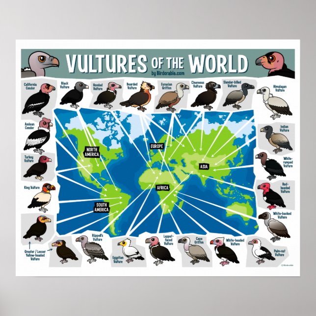 Poster Vultures of the World (Frente)
