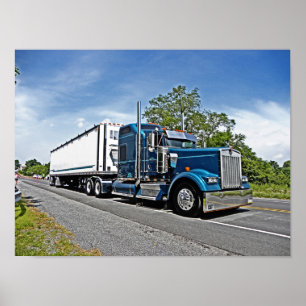 Poster W900L de Miller