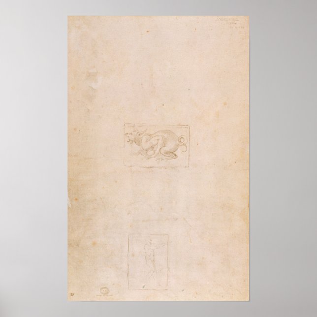 Pôster W.54 Estudo de um dragão (Frente)