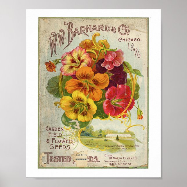 Poster W.W Barnard & Co Garden, Campo e Flor Seed 1896 (Frente)