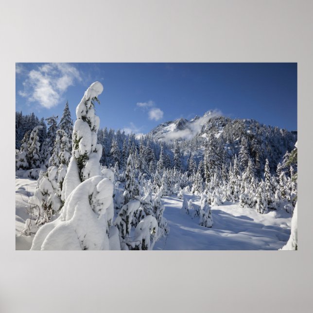 Pôster WA, Alpes Wilderness, bacia do lago de neve (Frente)