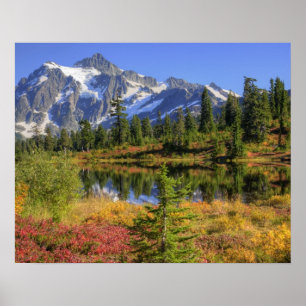 Pôster WA, Área de Recreação Heather Meadows, Mt. 2