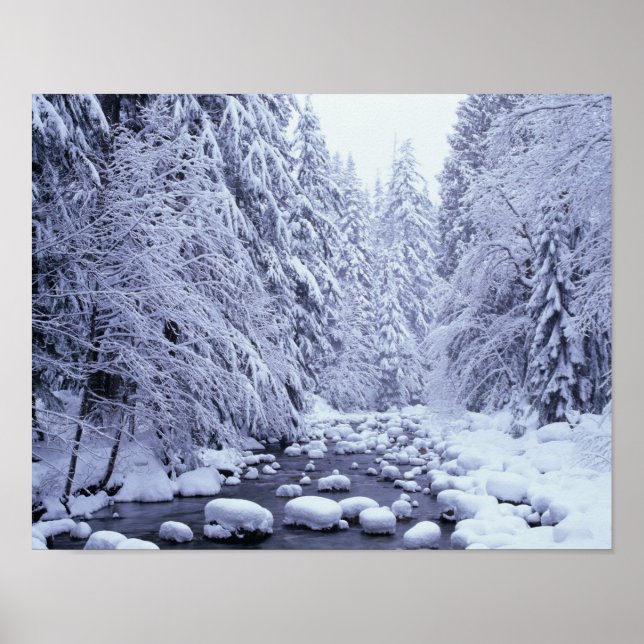 Pôster WA, Floresta Nacional Mount Baker-Snoqualmie, (Frente)