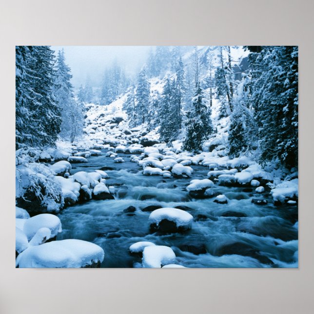 Pôster WA, Floresta Nacional Wenatchee, Cascade (Frente)