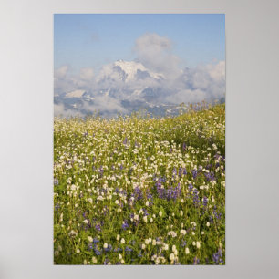 Poster WA, Mt. Baker Wilderness, Mt. Shuksan e