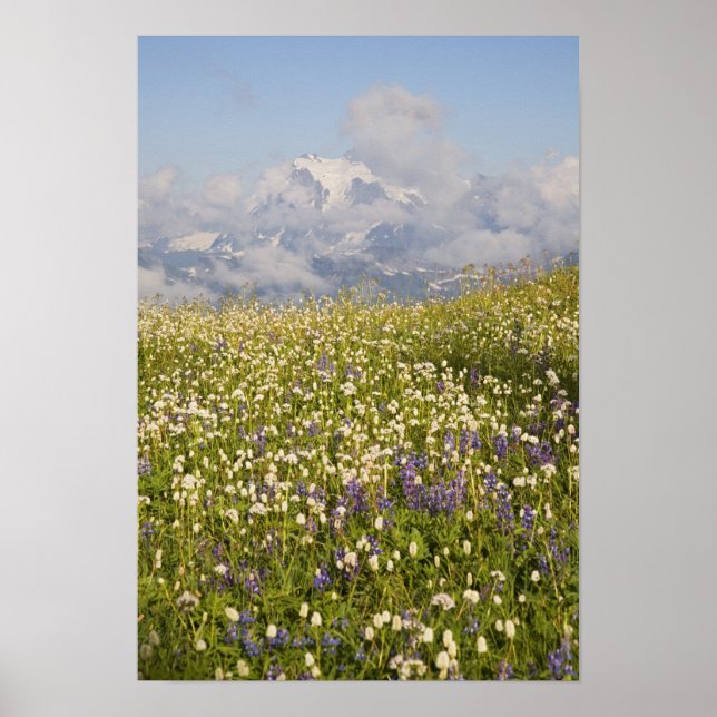 Poster WA, Mt. Baker Wilderness, Mt. Shuksan e (Frente)
