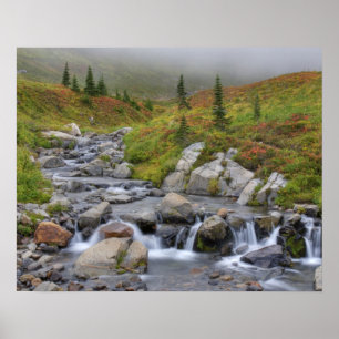 Pôster WA, Parque Nacional Mt. Rainier, Edith Creek