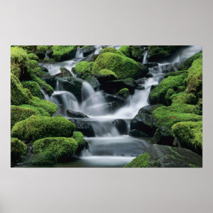Poster WA, Parque Nacional Olímpico, Vale de Sol Duc, ria