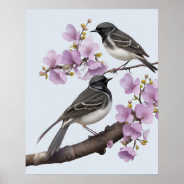 Poster Wagtail Bird