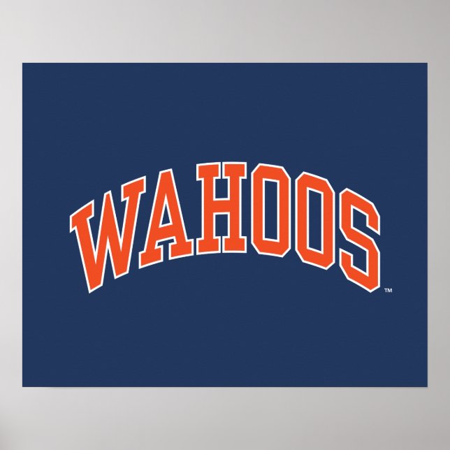 POSTER WAHOOS (Frente)
