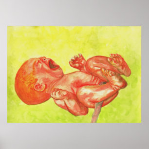 Pôster Wailer recém-nascido do bebê