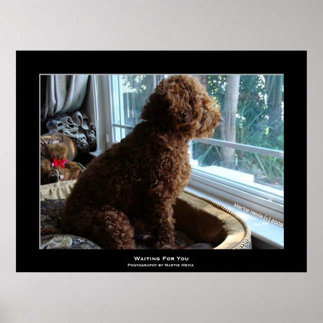 Poster "Waiting For You" (Frente)