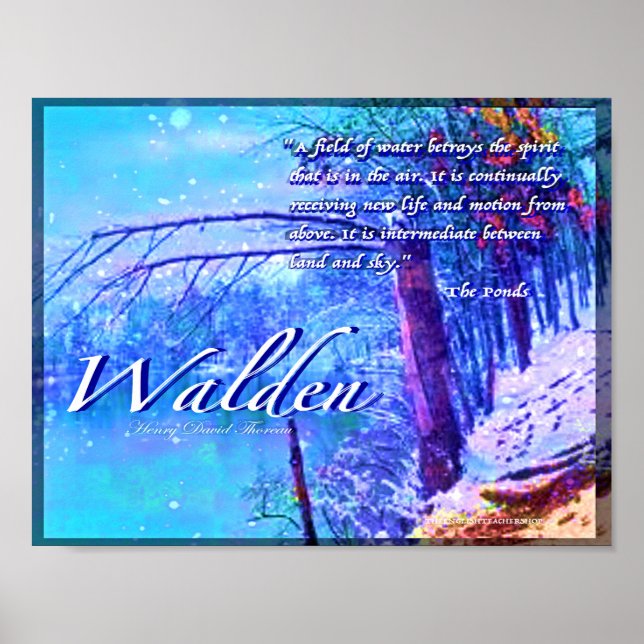 Poster Walden (Frente)