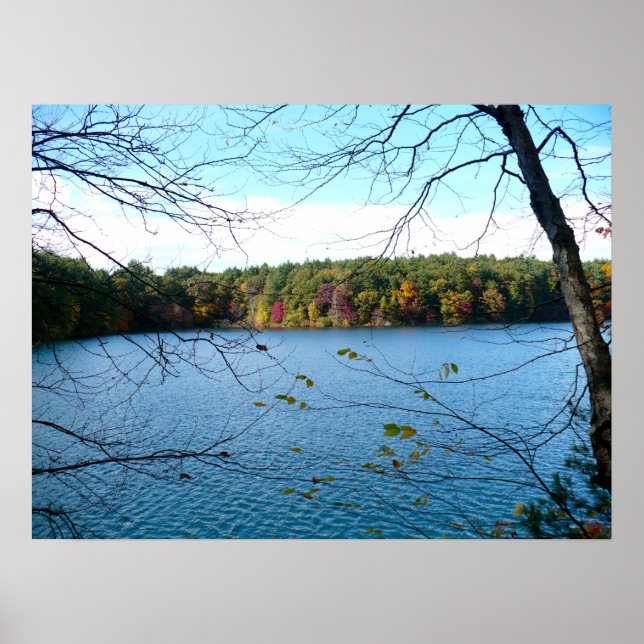 Poster Walden Pond in the Fall (Frente)