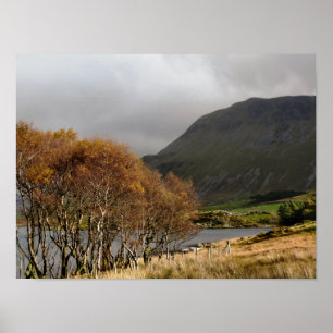 PÔSTER WALES