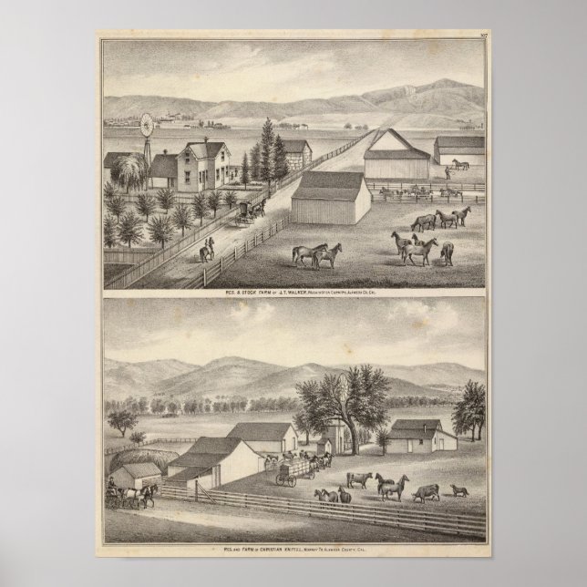 Pôster Walker, residências Knittel, fazendas (Frente)