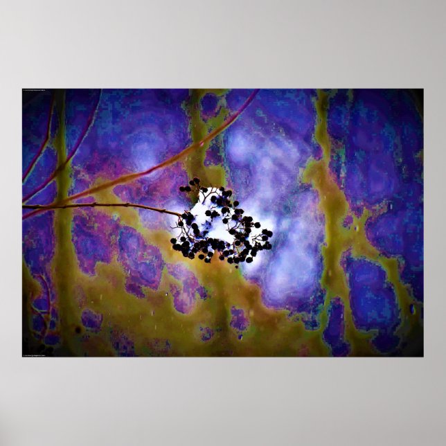 Poster Wall Art (Frente)