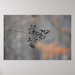 Poster Wall Art