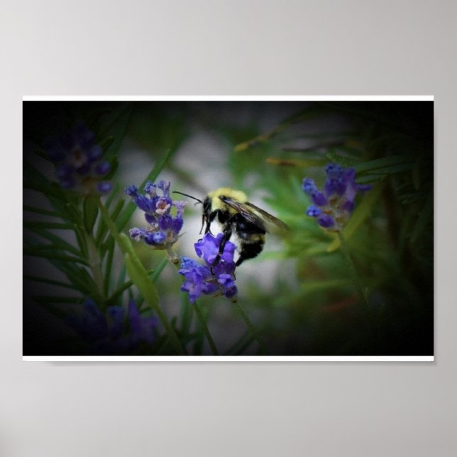 Poster Wall Art (Frente)