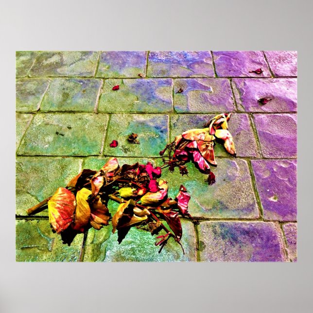 Poster Wall Art (Frente)