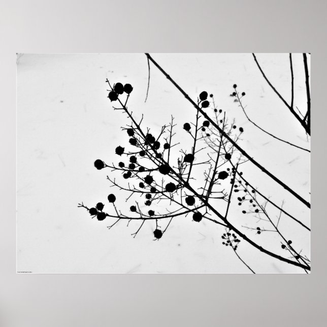 Poster Wall Art (Frente)