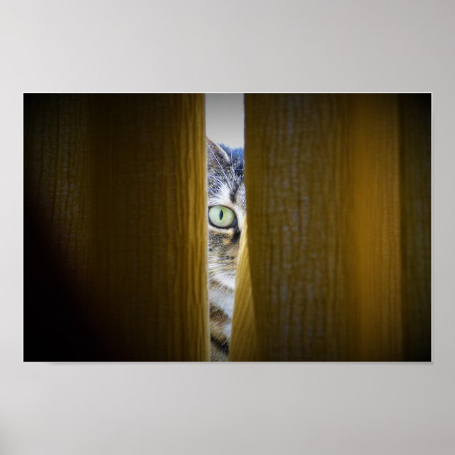 Poster Wall Art (Frente)