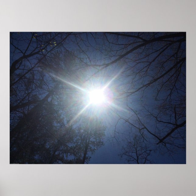 Poster Wall Art (Frente)