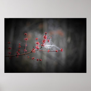 Poster Wall Art