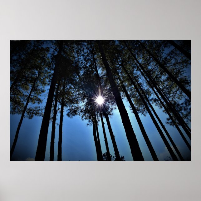 Poster Wall Art (Frente)