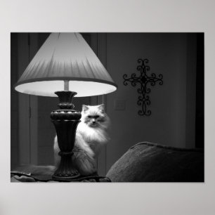 Poster Wall Art