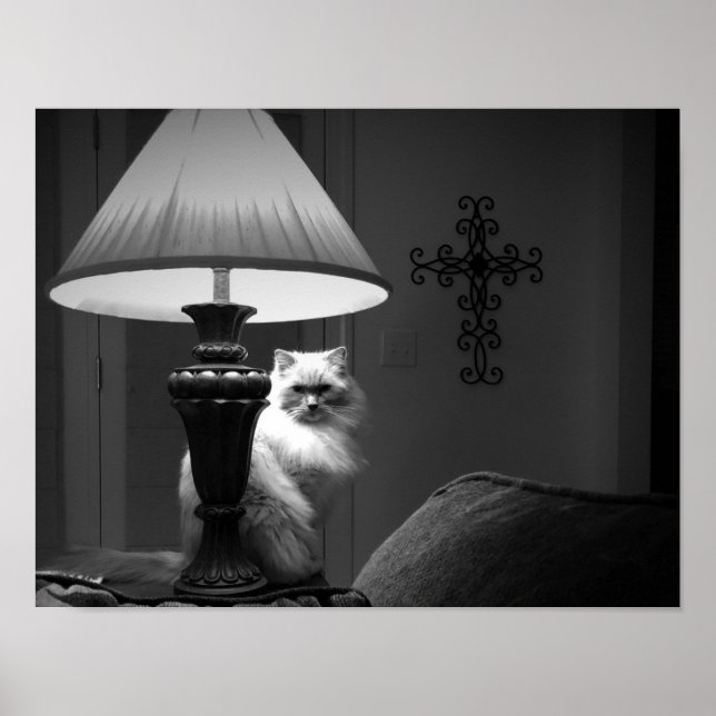 Poster Wall Art (Frente)