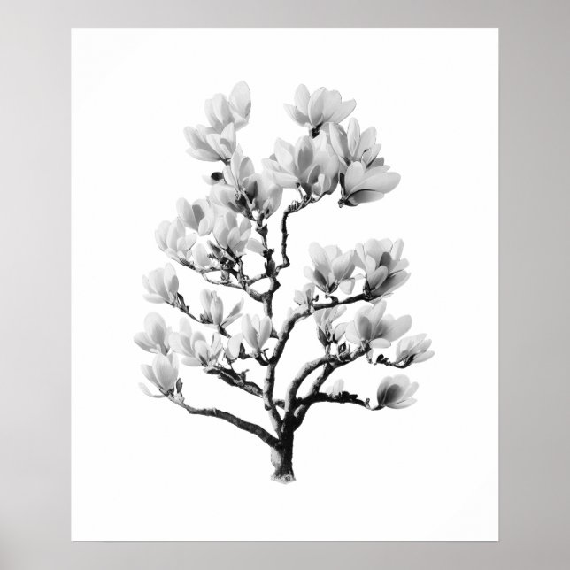 Poster Wall Art & Decor (Frente)