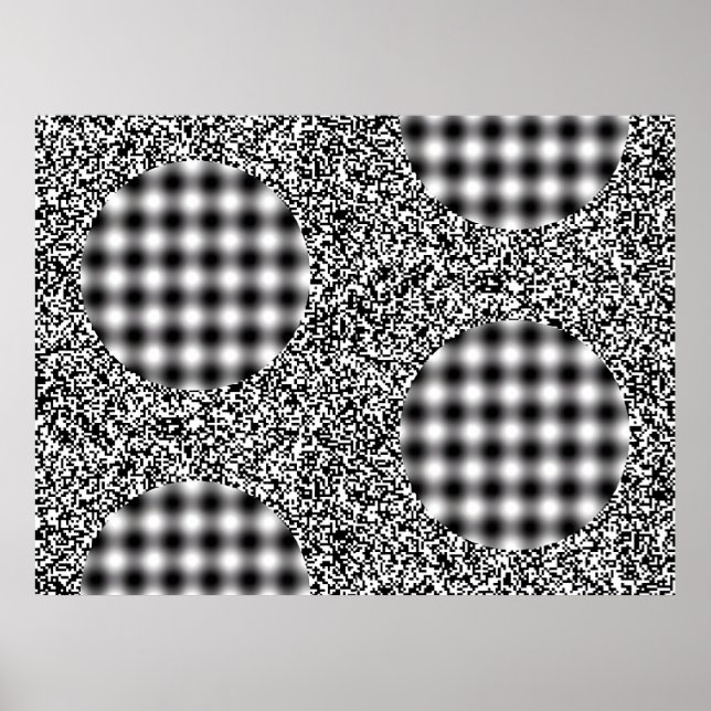 Poster Wall Plower II (Frente)