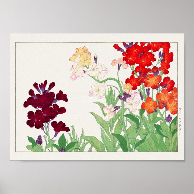 Poster Wallflower por Tanigami Konan (Frente)