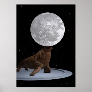 Pôster Walrus Balancing The Moon