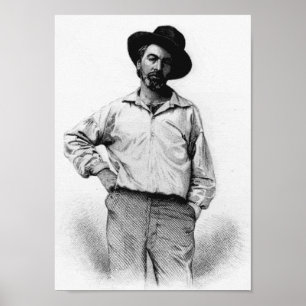 Pôster Walt Whitman
