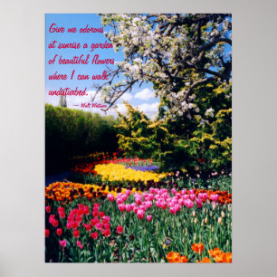 Poster Walt Whitman Tulip Garden