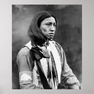 Pôster Walter Iron Shell: 1911