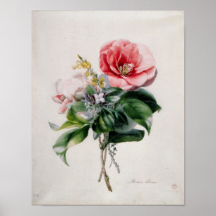 Pôster wamellia e vassoura